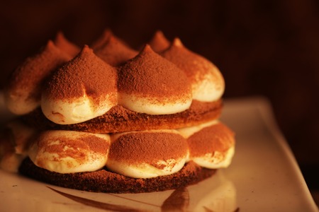 Homemade tiramisu dessertの写真素材