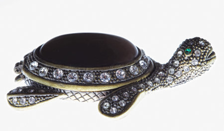 Turtle casket isolated on white background. close upの写真素材