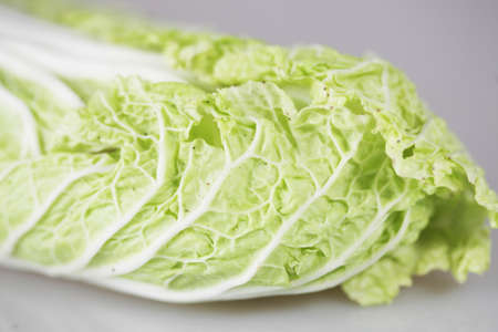 Chinese cabbageの写真素材