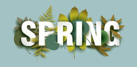 Spring card with different plant elements. Colorful illustration for your banner, poster, flyer. Vector.のイラスト素材