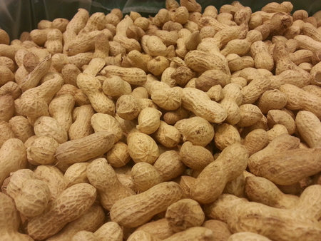 Peanuts