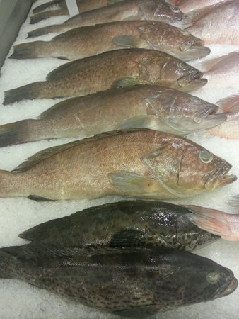 Fish in the tray