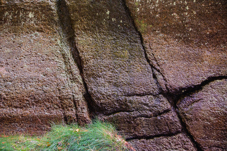 Wet cracked rock and green grass in a cornerの写真素材