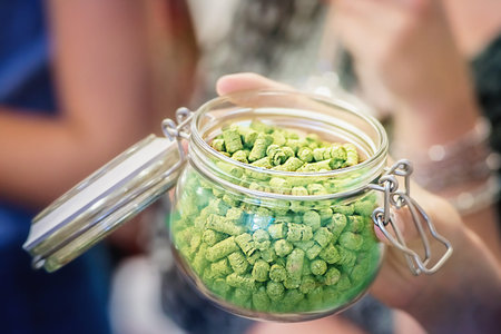 Hand holding a glass jar with hops pellets. Close up.
