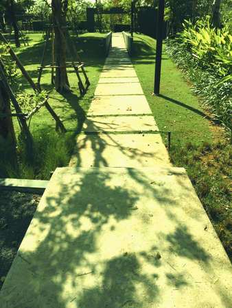 Pathway in the parkの素材