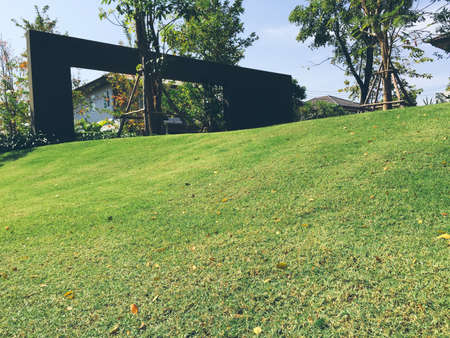 Lawn in parkの素材