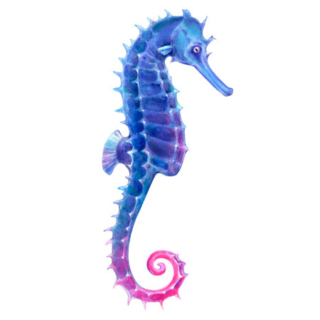 Blue illustration of sea Horse watercolor digitalの写真素材
