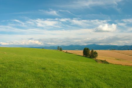Meadow and field with mountains in backgroundの写真素材