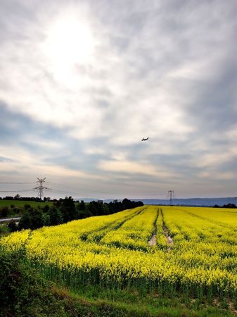 Descending airplane on cloudy sky with yellow fieldsの写真素材