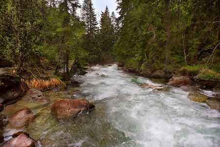 Mountain creek with red stones and green treesの写真素材