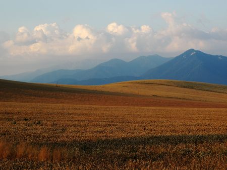 Filed on hills woth mountain in backroundの写真素材