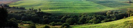 Meadows and fields in morning light wide panoramaの写真素材