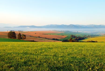 Summer morning on meadows with mountains in backgroundの写真素材
