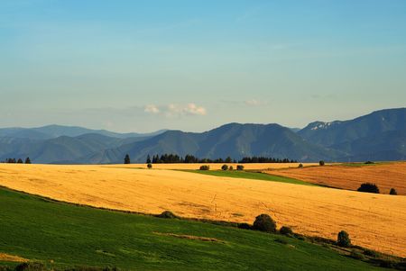 yellow fields and green meadows with mountains in backgroundの写真素材