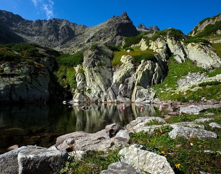 Mountain lake scenery with pink flowers in a summer dayの写真素材