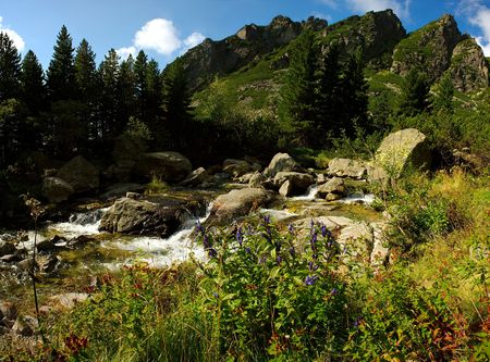 Mountain scenery with a creek, flowers, evergreen trees and peaksの写真素材