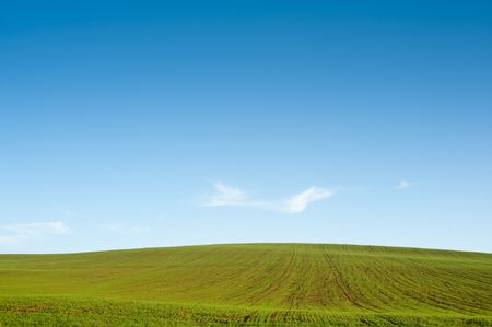 Horizon with green field and blue sky and a soft cloudの写真素材