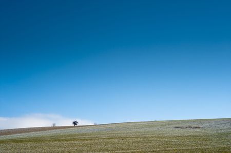simple blue green horizon with treesの写真素材