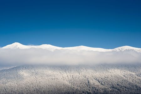 mountain with clouds and forest and blue sky horizonの写真素材
