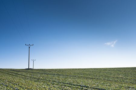 green blue horizon with electric poleの写真素材