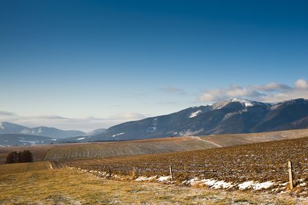 fileds with fence in winter sunny dayの写真素材