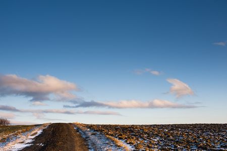 simple horizon with road, field and clouds on blue sky, evening lightの写真素材