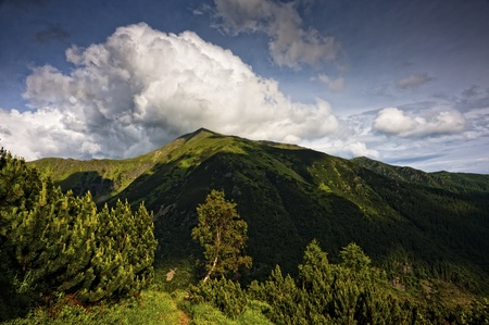 summer mountains scenery with cloudy sky, filtered tonal rangeの写真素材