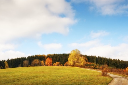 Road and autumn meadows with some colorful treesの写真素材