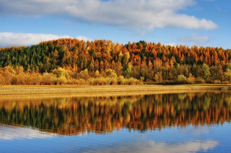 autumn forest and reflection in watter in sunny dayの写真素材