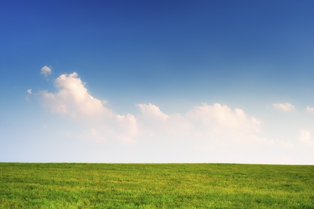 simple horizon green fields and blue sky with clouds in the end of summerの写真素材
