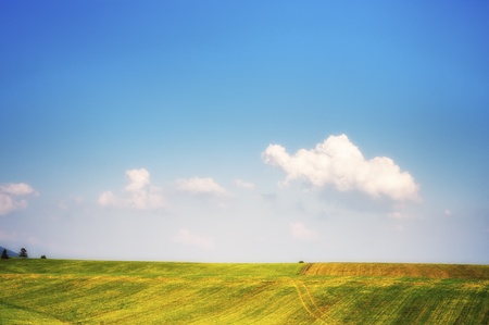 simple horizon greee fields and blue sky with clouds in the end of summerの写真素材