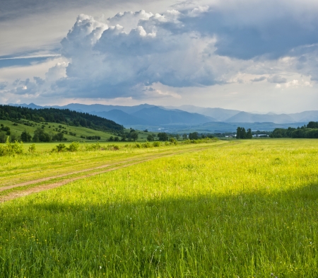 meadows in evening light and clouds on the skyの写真素材