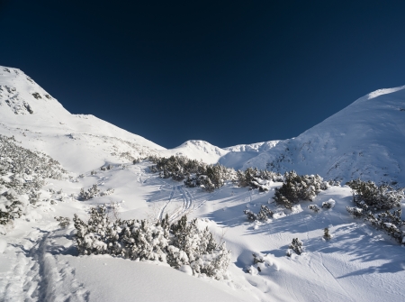 Mountains winter scenery in white and blueの写真素材