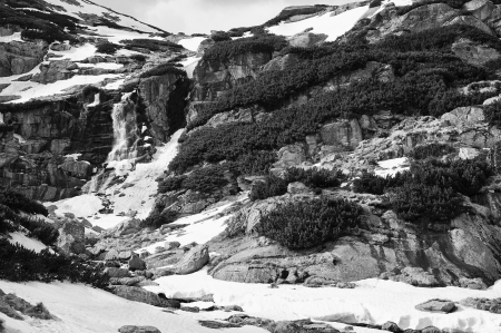 Black and white picture of waterfall in springの写真素材
