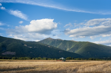 Simmer fields in a sunny afternoonの写真素材