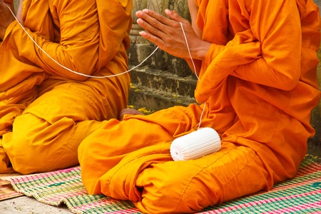 Monkの写真素材