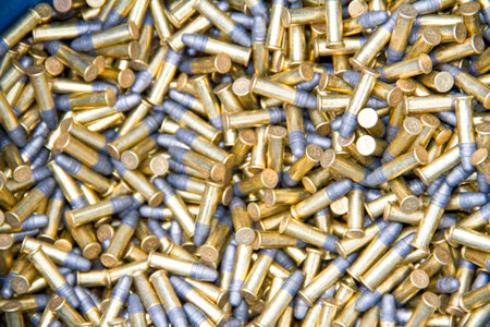  22 cartridge