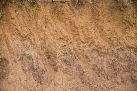 Layer of soil