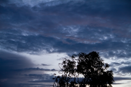 Evening sky, sunsetの写真素材