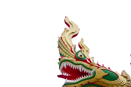 Head serpentの写真素材