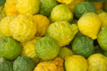 Kaffir lime Or Bergamot Fruit,This Fruit is Like Amazing Herb in Thailandの写真素材