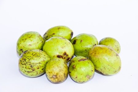 chebulic myrobalansの写真素材