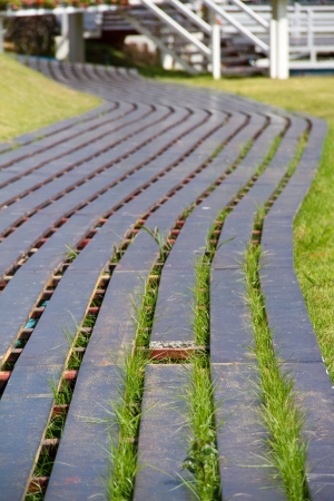 walkway in gardenの写真素材