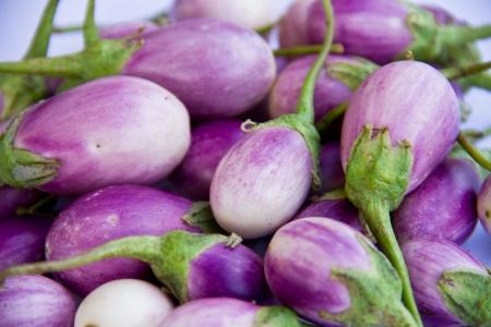 Eggplant purple の写真素材