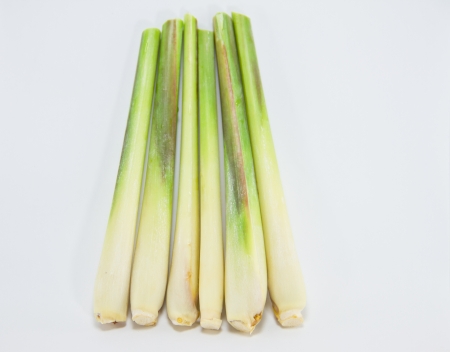 lemon grass isolated on white backgroundの写真素材