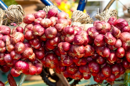 Shallot - asia red onionの写真素材