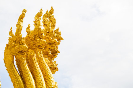 Gold head Naga
