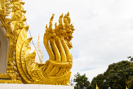 Gold head Naga