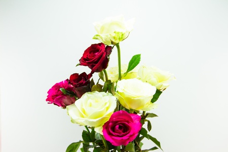 Bouquet of roses の写真素材