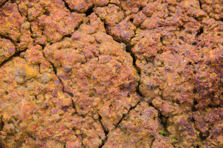 Laterite stone background